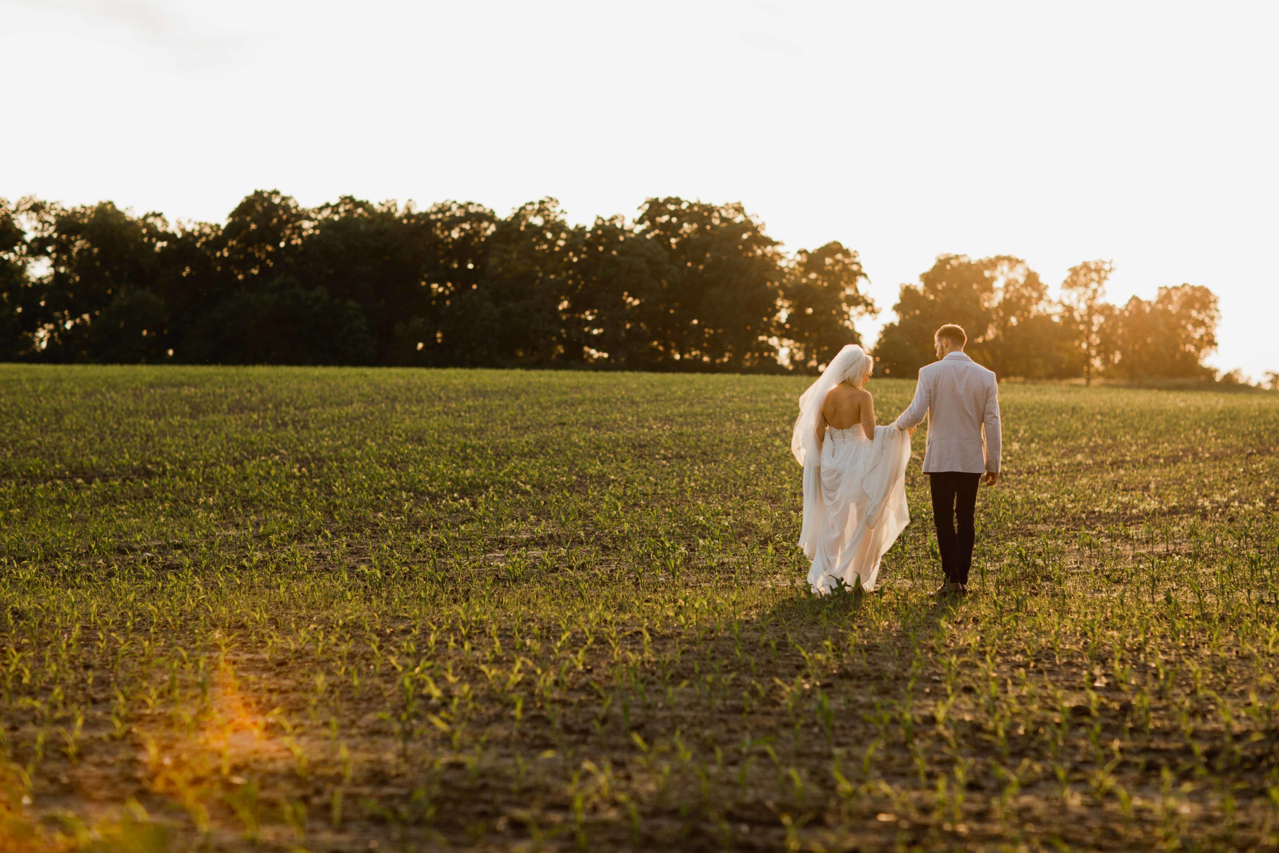 Golden hour in field in Illinois by Geneva, IL Wedding Photographer