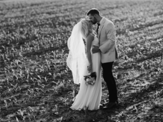 Golden hour in field in Illinois by Geneva Illinois Photographer