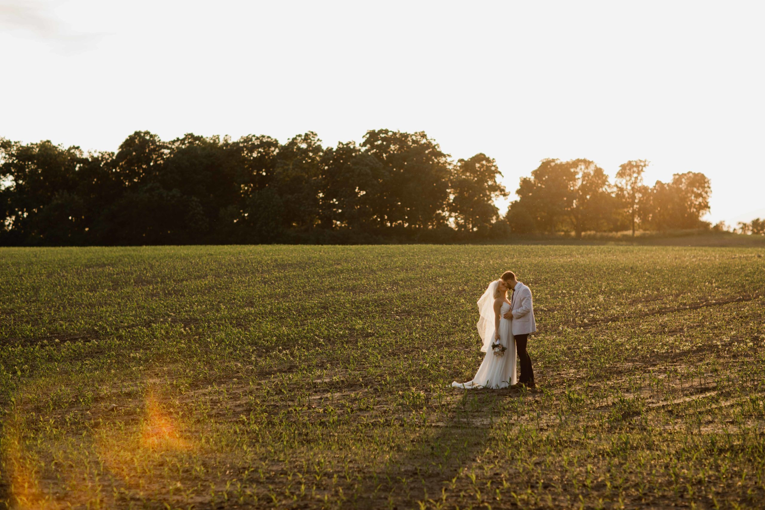Golden hour in field in Illinois by Geneva Photographer