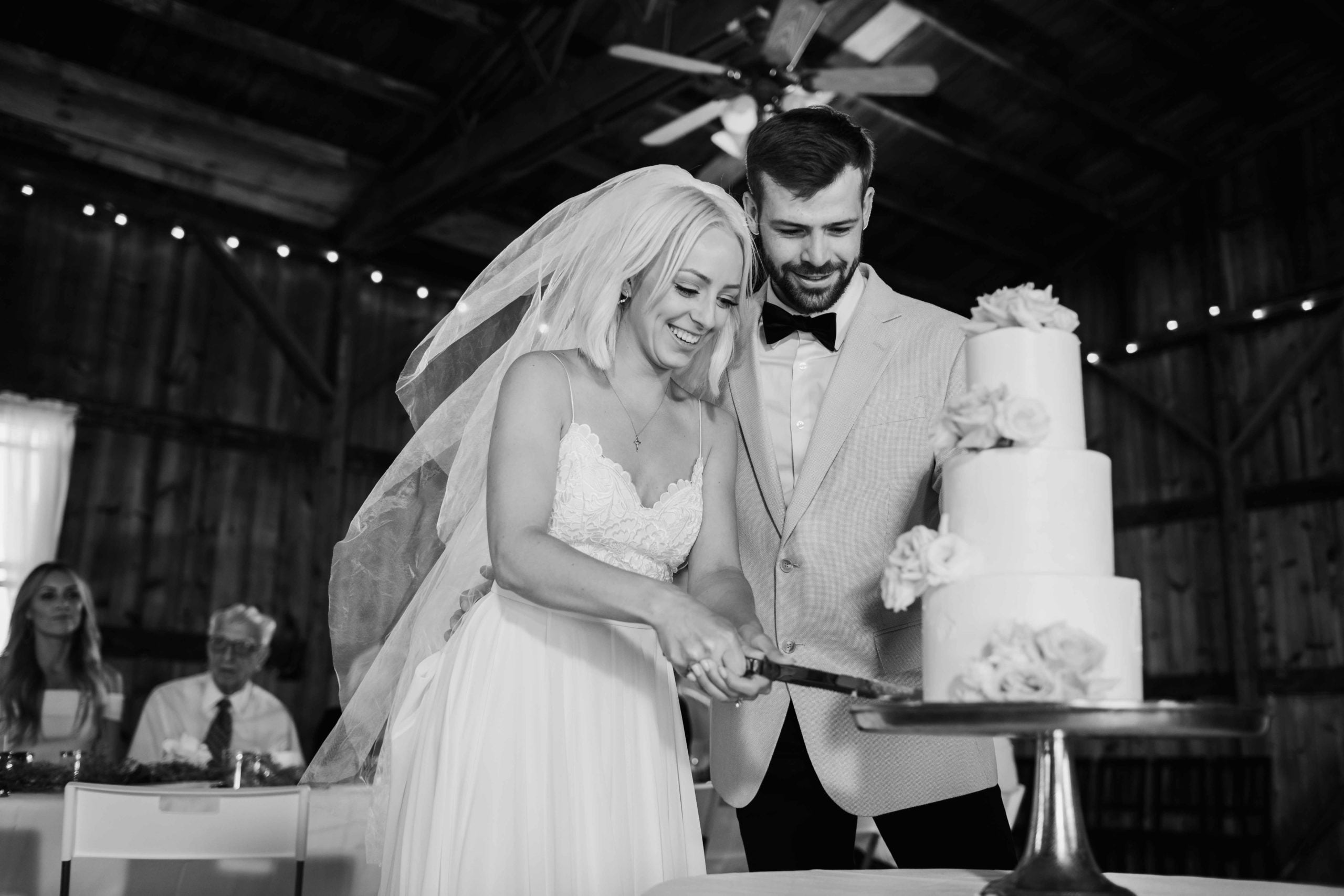 Wedding Reception Cake Cutting Photos by Geneva, Illinois Wedding Photographer