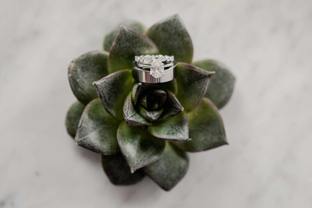Chicago Illinois Wedding Photography Detail Photos of Ring and Succulent