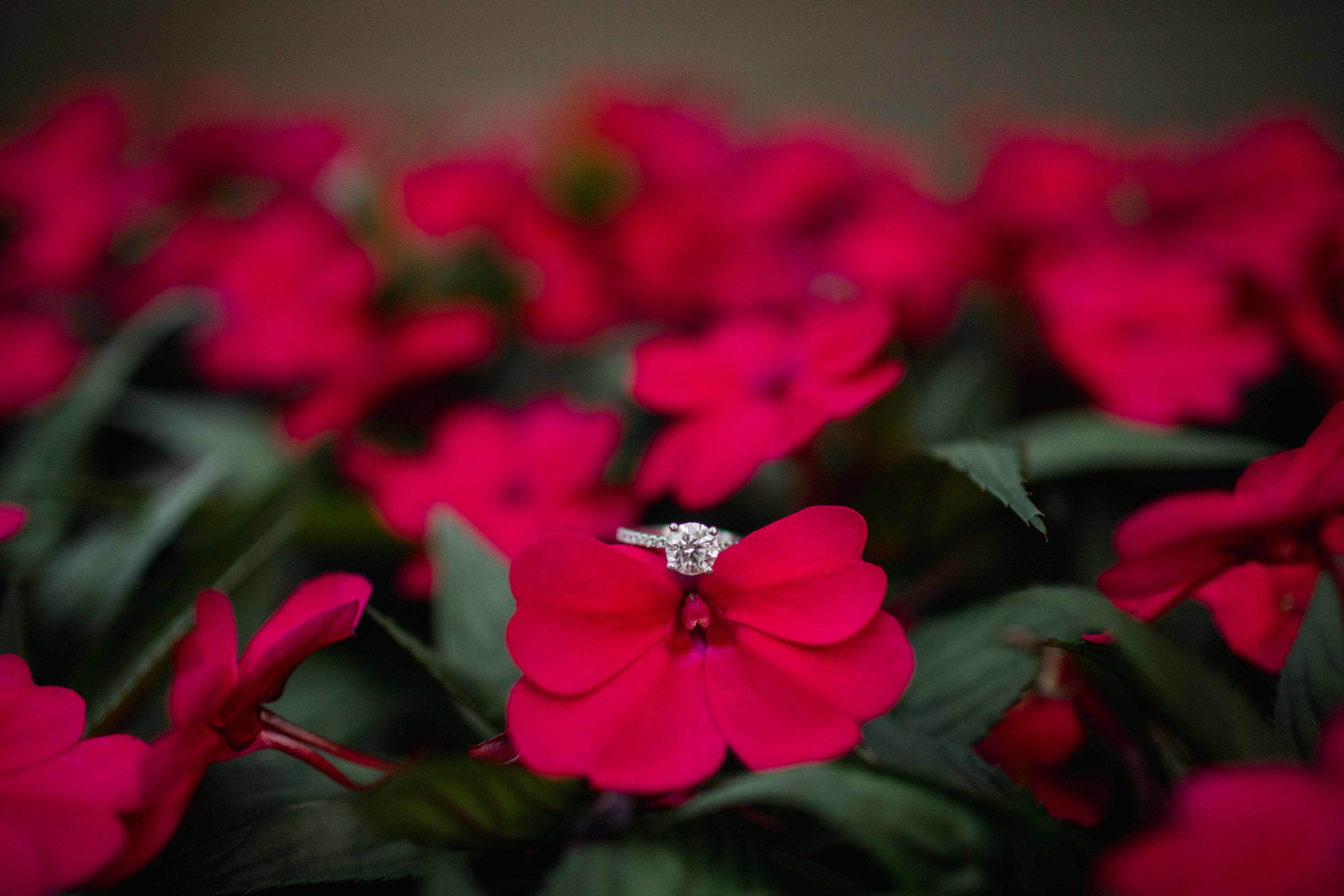 Naperville Riverwalk Engagement Photography by Illinois Photographer Ring Detail