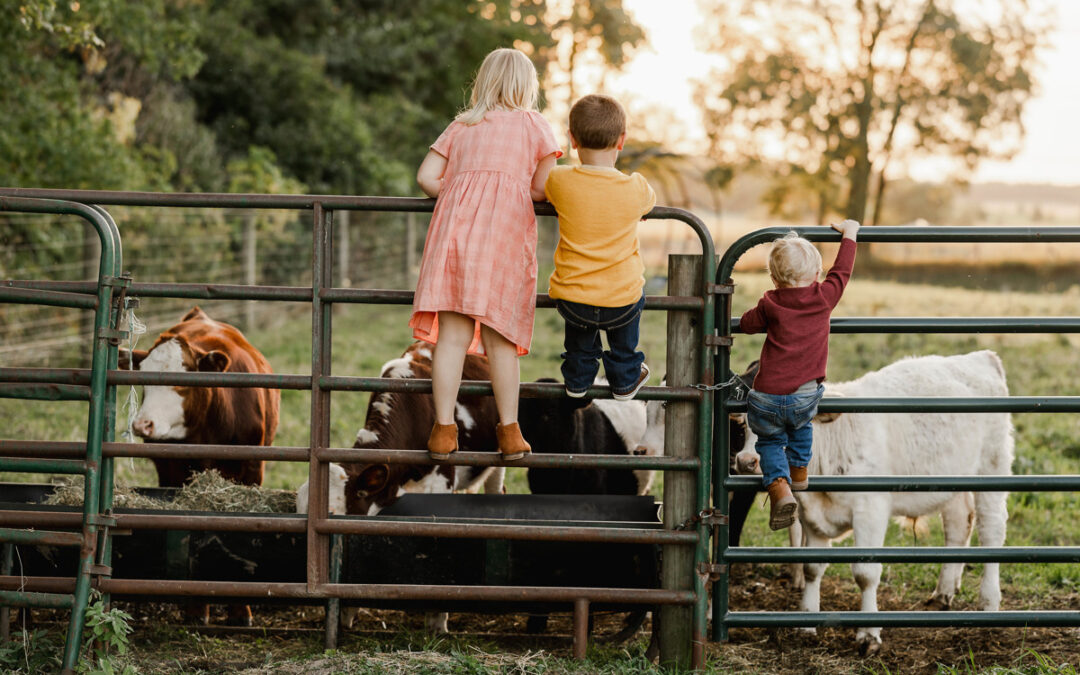 Fall Family Photography in Saint Charles and Geneva Illinois Family Photographer