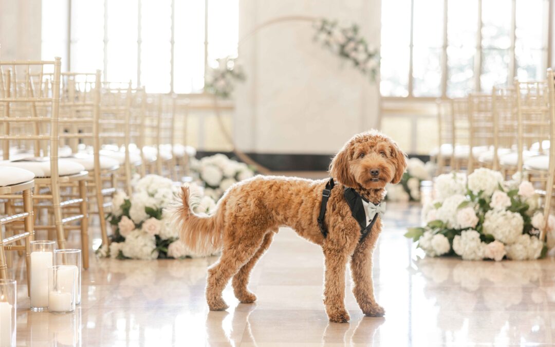 Elegant Modern Clean Romantic Chicago Wedding Photographer LaSalle Hotel Old Post Office