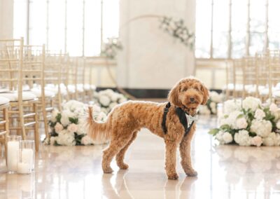 Elegant Modern Clean Romantic Chicago Wedding Photographer LaSalle Hotel Old Post Office