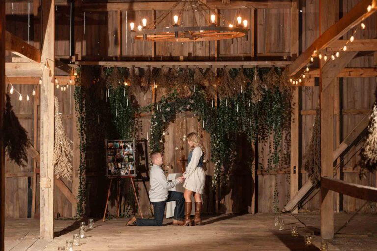 6-Light Modern Illinois Proposal Engagement Photoshoot by Saint Charles Engagement Photographer Mary Rose